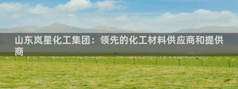 球盟会连接：山东岚星化工集团：领先的化工材料供应商和提供
商