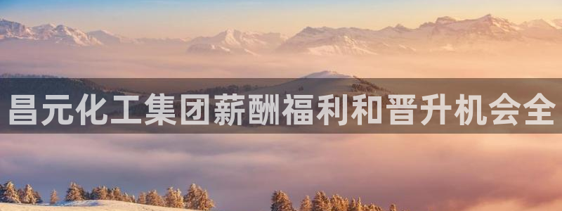 球盟会qm9：昌元化工集团薪酬福利和晋升机会全