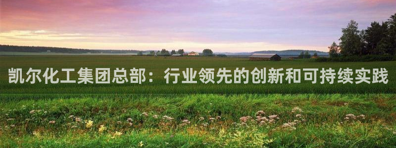 球盟会有没有黑单的球员：凯尔化工集团总部：行业领先的创新和可