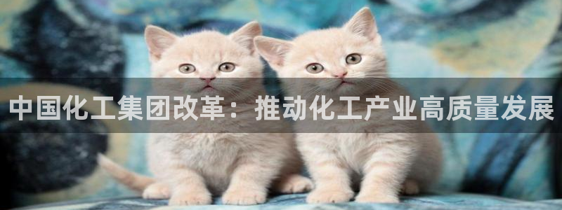 球盟会黑款吗还是白款：中国化工集团改革：推动化工产业高质量发