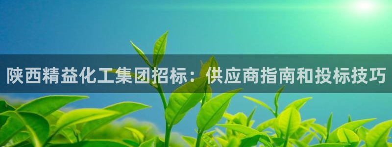 球盟会网页登录app下载地址：陕西精益化工集团招标：供应商指