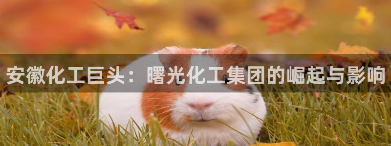 球盟会体育平台：安徽化工巨头：曙光化工集团的崛起与影响