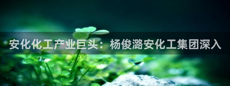 球盟会在线官网：安化化工产业巨头：杨俊潞安化工集团深入
