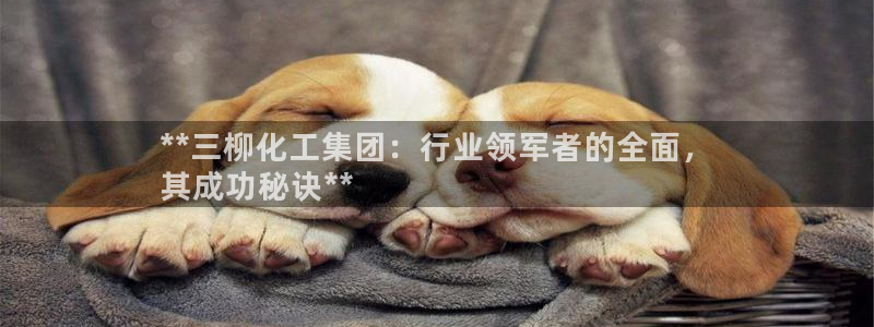 球盟会平台怎么样：**三柳化工集团：行业领军者的全面，
其成