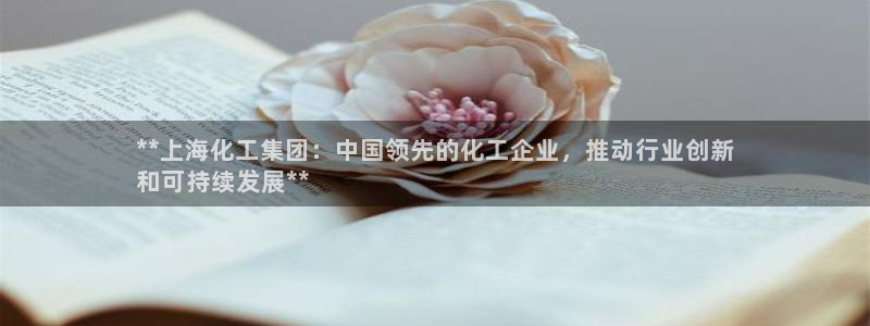 球盟会论坛：**上海化工集团：中国领先的化工企业，推动行业创
