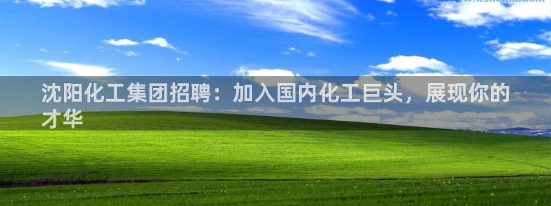 球盟会网页版：沈阳化工集团招聘：加入国内化工巨头，展现你的
