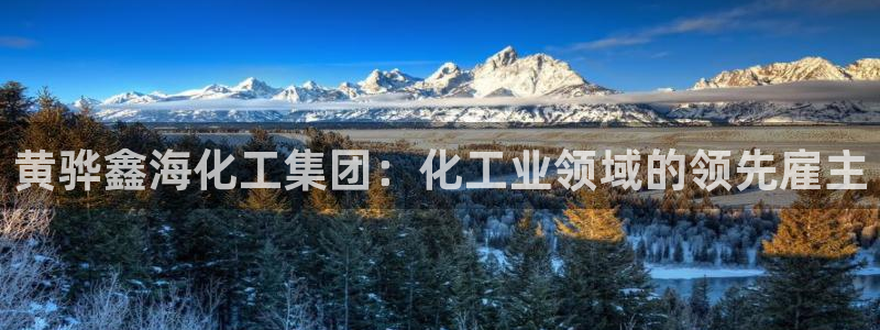 球盟会黑钱：黄骅鑫海化工集团：化工业领域的领先雇主