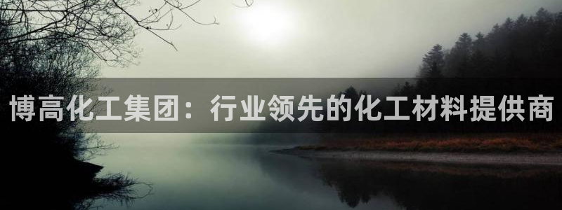 球盟会登录平台：博高化工集团：行业领先的化工材料提供商