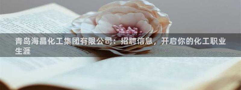 球盟会官方登录平台：青岛海晶化工集团有限公司：招聘信息，开启