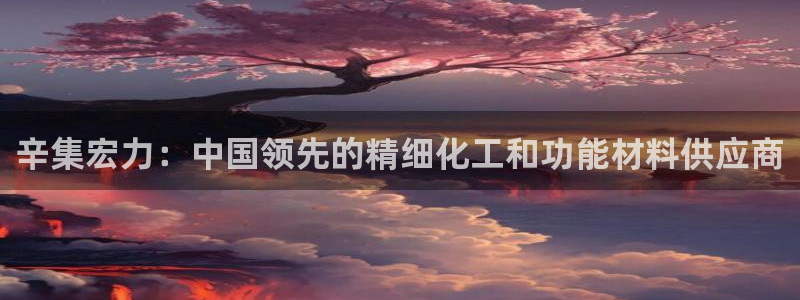 球盟会综合体育平台怎么样：辛集宏力：中国领先的精细化工和功能