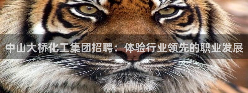 球盟会入口：中山大桥化工集团招聘：体验行业领先的职业发展