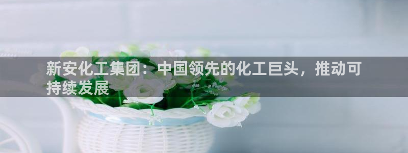 球盟会用的客服聊天是哪个软件：新安化工集团：中国领先的化工巨