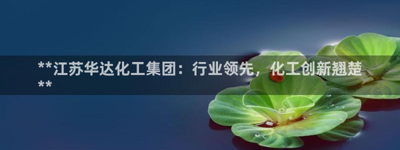 球盟会和中欧：**江苏华达化工集团：行业领先，化工创新翘楚
