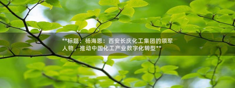 球盟会app：**标题：杨海恩：西安长庆化工集团的领军
人物