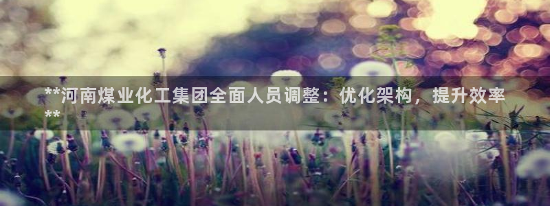 球盟会黑嘛：**河南煤业化工集团全面人员调整：优化架构，提升