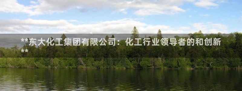 球盟会app最新地址在哪找：**东大化工集团有限公司：化工行