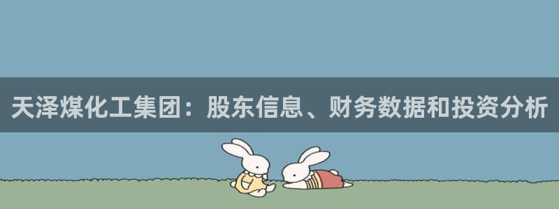 球盟会登录平台：天泽煤化工集团：股东信息、财务数据和投资分析