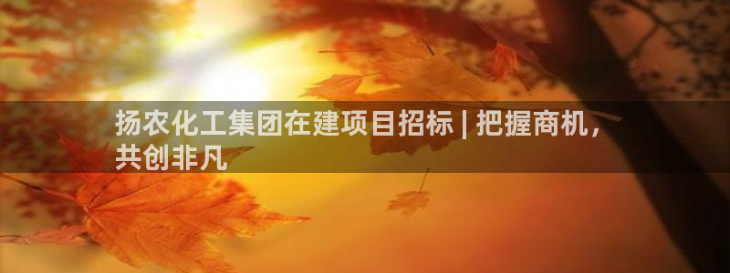 球盟会平台会黑单吗：扬农化工集团在建项目招标 | 把握商机，