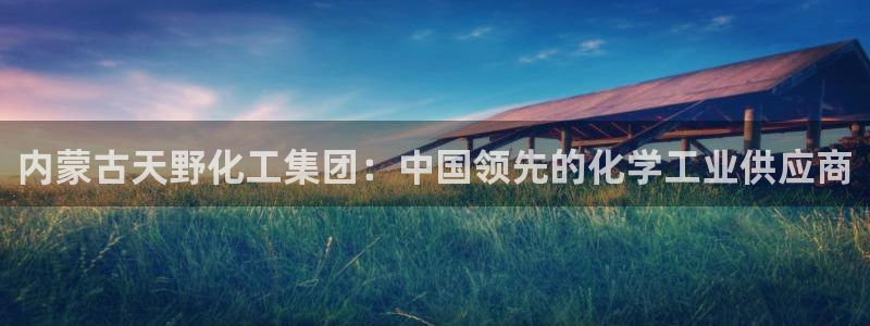 球盟会里面有打牌的嘛是真的吗：内蒙古天野化工集团：中国领先的