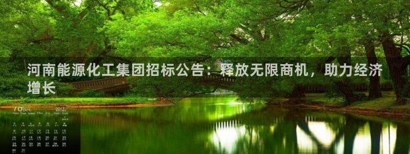 球盟会有没有黑单的活动：河南能源化工集团招标公告：释放无限商