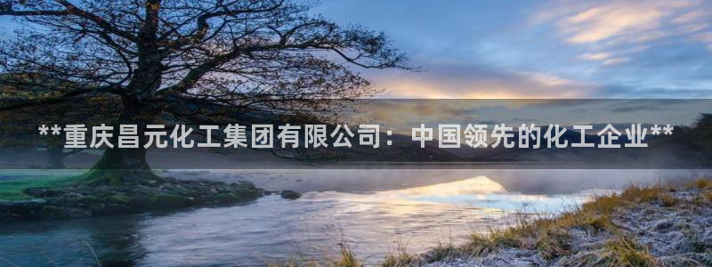 球盟会黑台子吗：**重庆昌元化工集团有限公司：中国领先的化工