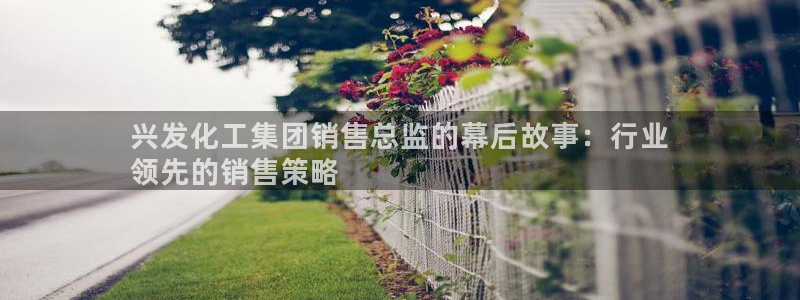 球盟会登录入口：兴发化工集团销售总监的幕后故事：行业
领先的