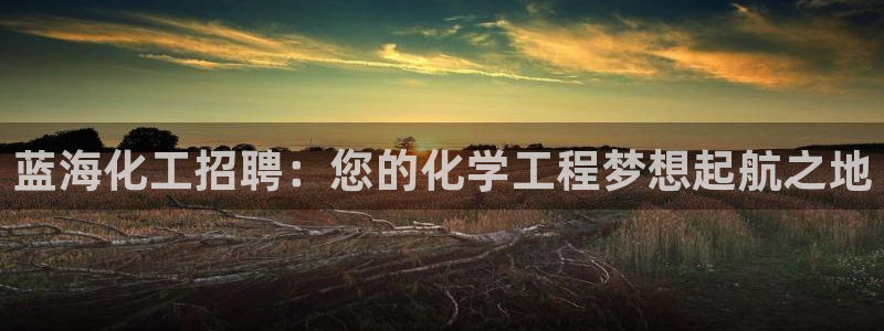 球盟会和中欧合作吗：蓝海化工招聘：您的化学工程梦想起航之地