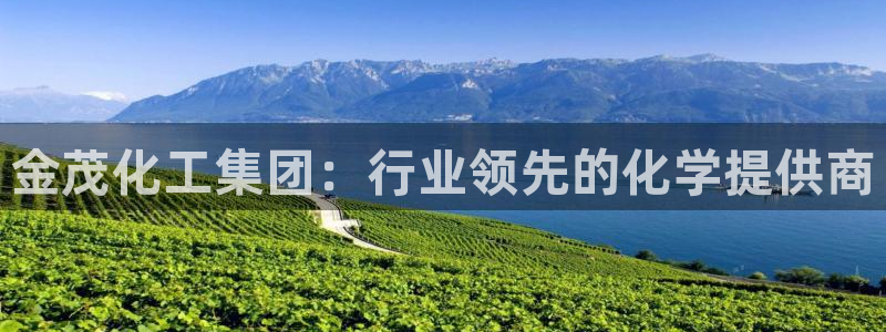 球盟会官方登录平台：金茂化工集团：行业领先的化学提供商