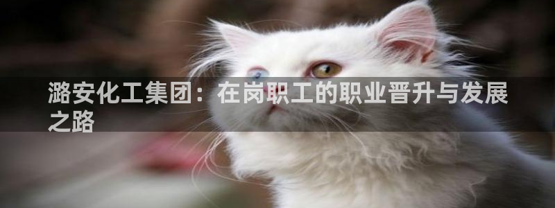 球盟会官方app首页入口：潞安化工集团：在岗职工的职业晋升与