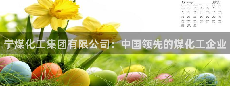 球盟会能提现吗是真的吗：宁煤化工集团有限公司：中国领先的煤化