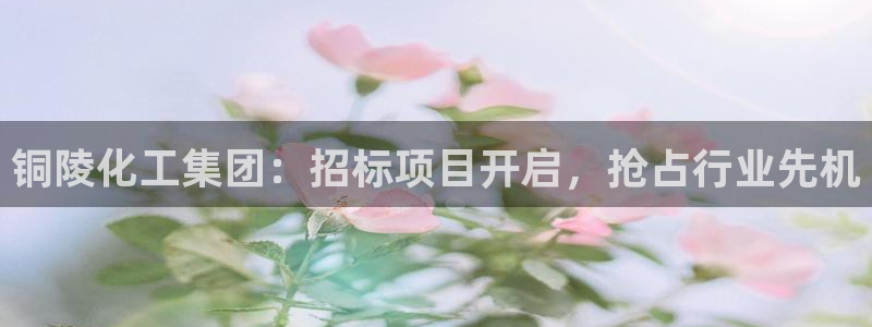 球盟会官方网站app：铜陵化工集团：招标项目开启，抢占行业先