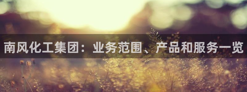 球盟会网页登录入口：南风化工集团：业务范围、产品和服务一览