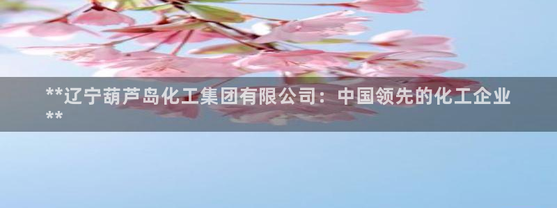 球盟会登录平台：**辽宁葫芦岛化工集团有限公司：中国领先的化
