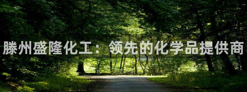 球盟会能退钱吗是真的吗：滕州盛隆化工：领先的化学品提供商