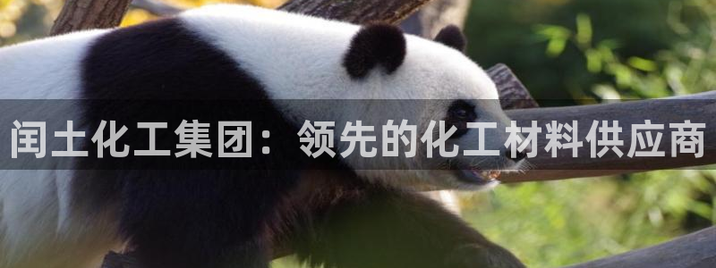 球盟会在线网站