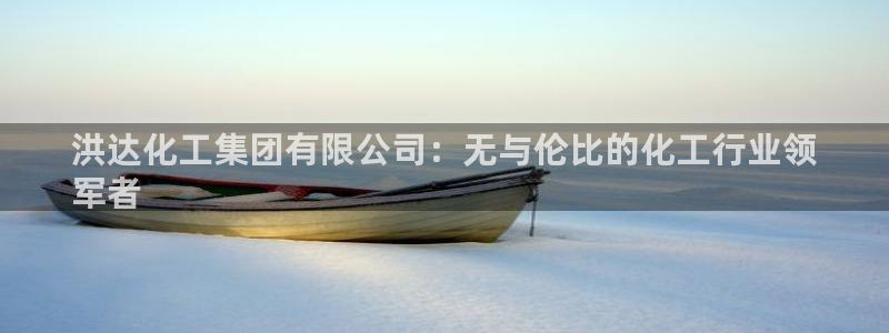球盟会：洪达化工集团有限公司：无与伦比的化工行业领
军者
