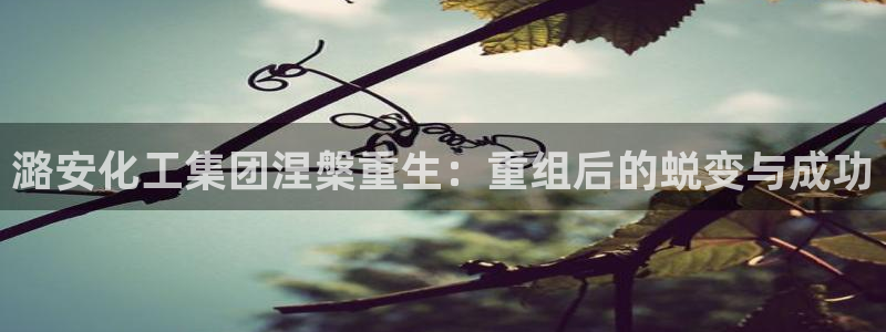 球盟会官方网站：潞安化工集团涅槃重生：重组后的蜕变与成功