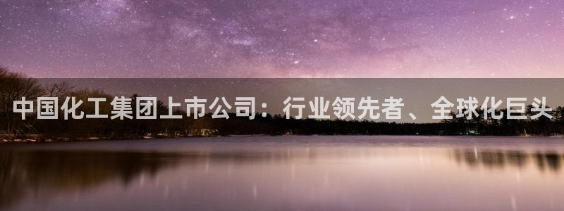 球盟会最新地址备用：中国化工集团上市公司：行业领先者、全球化