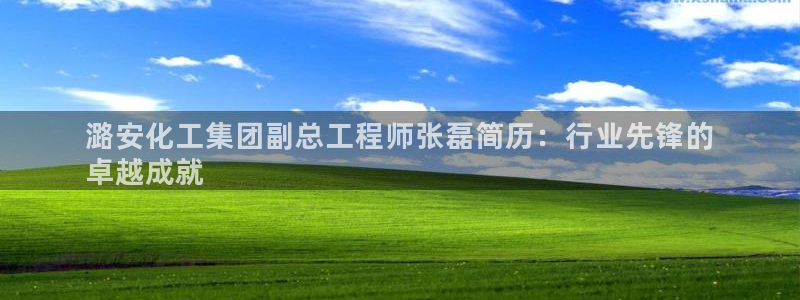 球盟会官方登录平台入口：潞安化工集团副总工程师张磊简历：行业