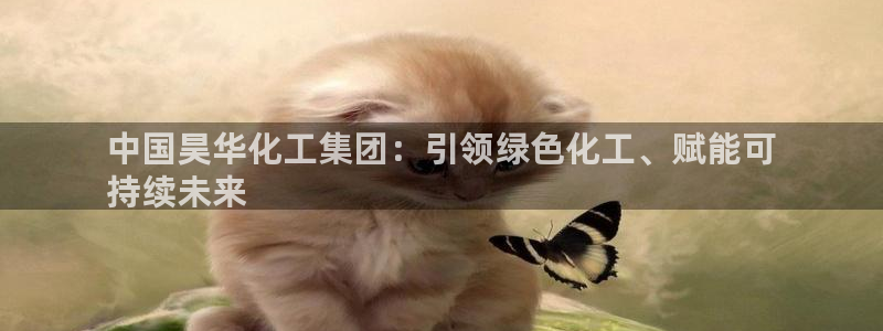 球盟会下款快吗：中国昊华化工集团：引领绿色化工、赋能可
持续