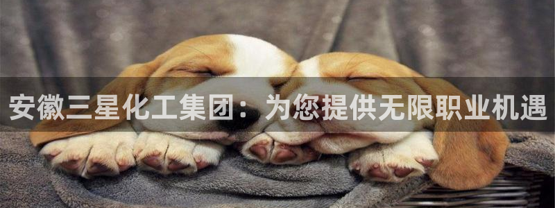 球盟会app最新地址在哪：安徽三星化工集团：为您提供无限职业