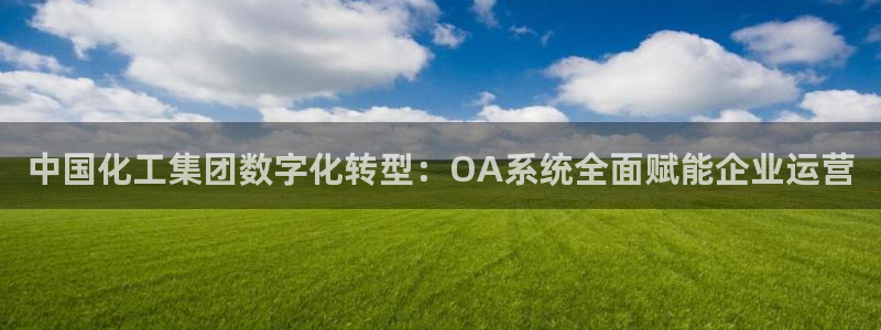 球盟会登录网址：中国化工集团数字化转型：OA系统全面赋能企业