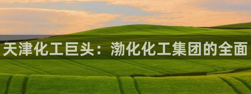 球盟会类似的网站：天津化工巨头：渤化化工集团的全面