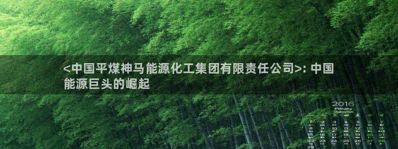 球盟会和中欧：<中国平煤神马能源化工集团有限责任公司>: 中