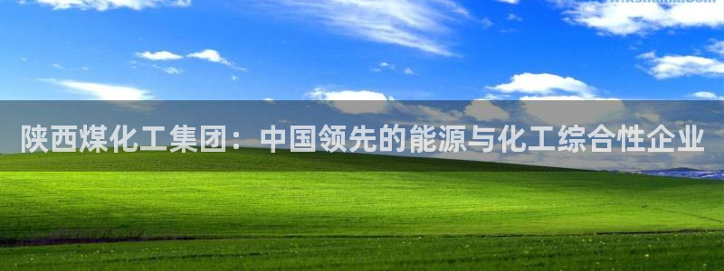 球盟会app安装：陕西煤化工集团：中国领先的能源与化工综合性