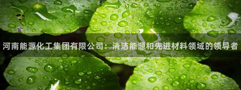 球盟会qmh官网：河南能源化工集团有限公司：清洁能源和先进材