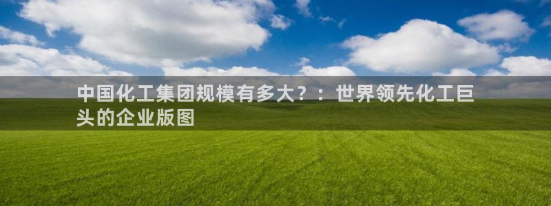 球盟会封号：中国化工集团规模有多大？：世界领先化工巨
头的企