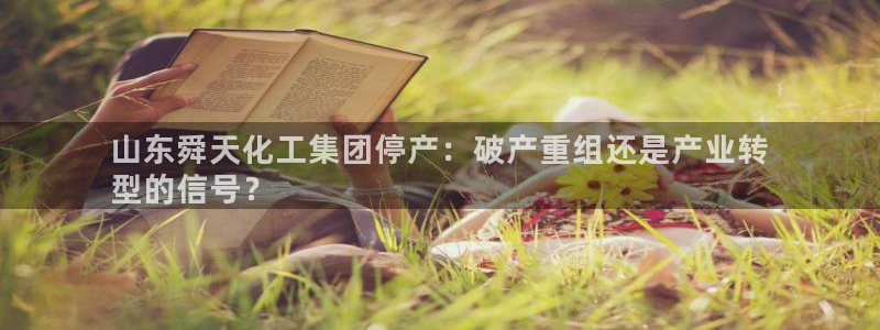 球盟会黑款吗知乎小说：山东舜天化工集团停产：破产重组还是产业