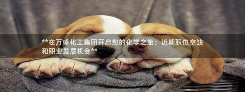 球盟会电子游戏平台：**在万盛化工集团开启您的化学之旅：近期