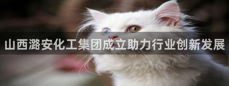 球盟会qmh电子网页版登录：山西潞安化工集团成立助力行业创新